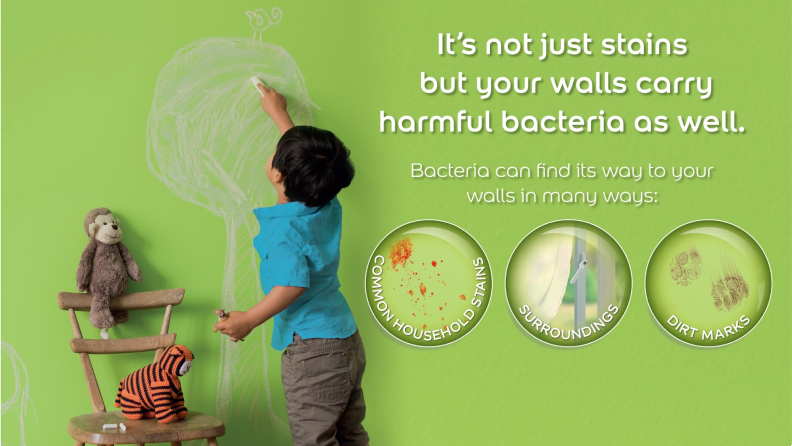 walls can have harmful bacteria